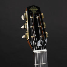 Load image into Gallery viewer, Altamira M01 Oval Hole Gypsy Jazz Guitar w/Case