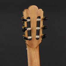 Load image into Gallery viewer, Altamira Torres Model Classical Guitar