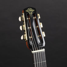 Load image into Gallery viewer, Altamira M01 D-Hole 12-Fret w/case