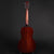 Eastman E10P Adirondack/Mahogany Parlour #8955
