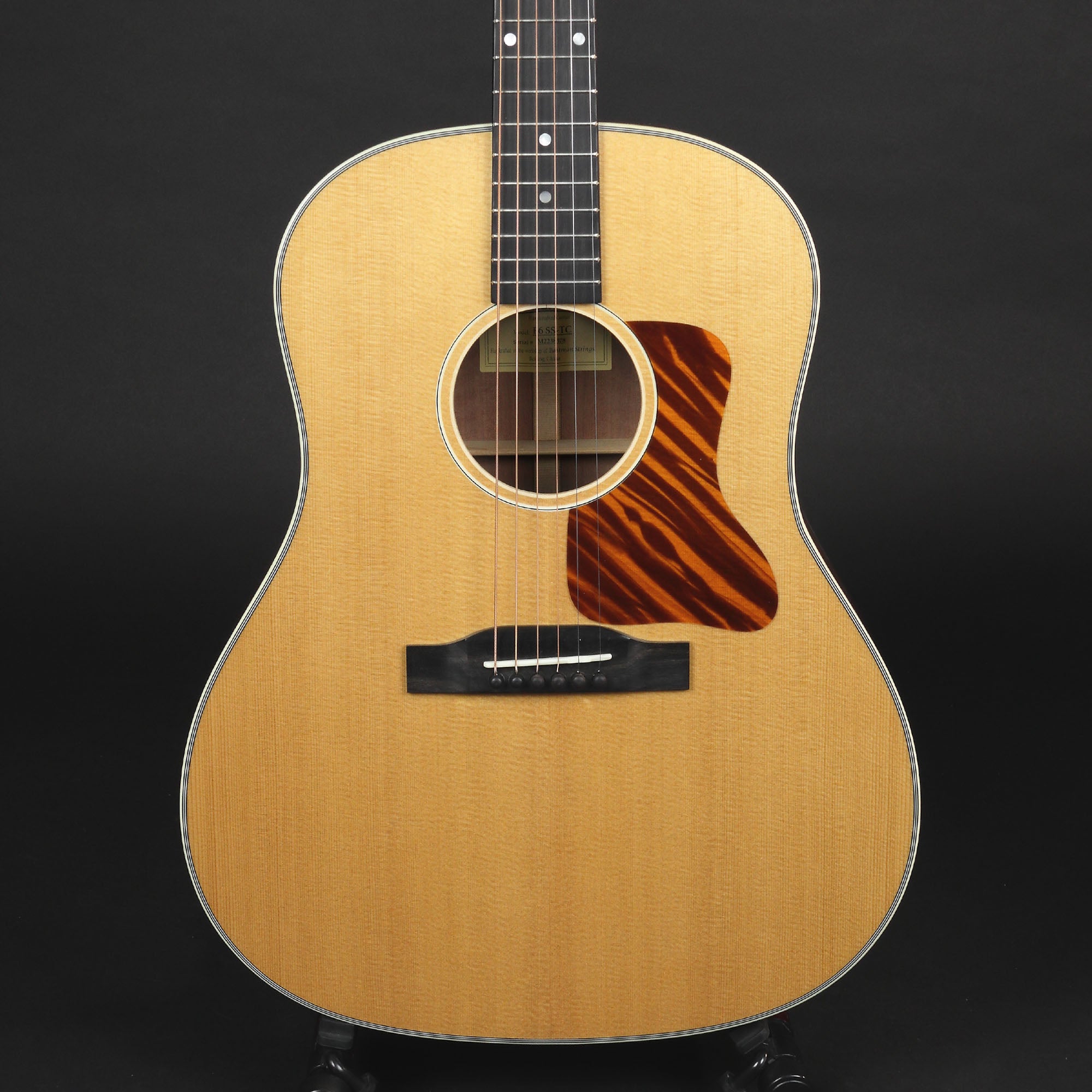 Eastman E6SS-TC Thermo-Cured #8578