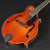 Eastman MD815PGE-HB Mandolin w/K&K Pickup  #5165 (B-Stock)