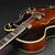 1980's Epiphone Emperor (F) Archtop (Pre-owned)