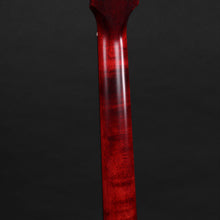 Load image into Gallery viewer, 2019 Gibson Les Paul Special Tribute DC  (Pre-owned)