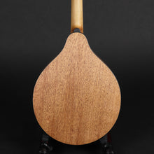 Load image into Gallery viewer, Eastman PCH-M104 A Style Mandolin - Goldburst