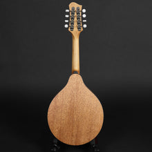 Load image into Gallery viewer, Eastman PCH-M104 A Style Mandolin - Goldburst