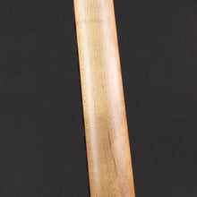 Load image into Gallery viewer, Paoletti 112 Wine Series HP90 Electric Guitar