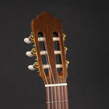 Load image into Gallery viewer, Altamira N100 Classical Guitar