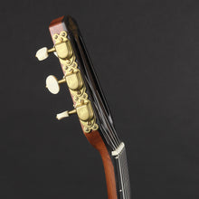 Load image into Gallery viewer, Altamira M30D Antique Finish D-Hole Gypsy Jazz Guitar w/Case