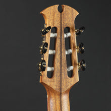 Load image into Gallery viewer, 2021 Dowina Master Series Hybrid Cutaway Nylon (Pre-owned)