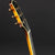 2006 Mike Vanden Martin Taylor Artistry Archtop