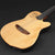 Godin Multiac Nylon SA w/Roland GR33 Guitar Synth (Pre-owned)
