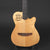 Godin Multiac Nylon SA w/Roland GR33 Guitar Synth (Pre-owned)
