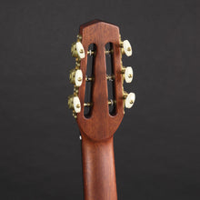 Load image into Gallery viewer, Altamira M30D Antique Finish D-Hole Gypsy Jazz Guitar w/Case