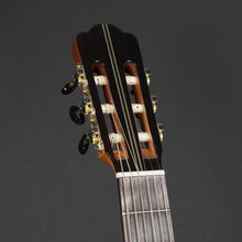 Load image into Gallery viewer, Aria C205 Cedar/Rosewood Classical Guitar