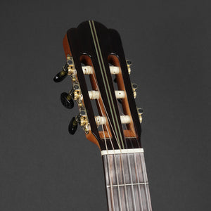 Aria C205 Cedar/Rosewood Classical Guitar