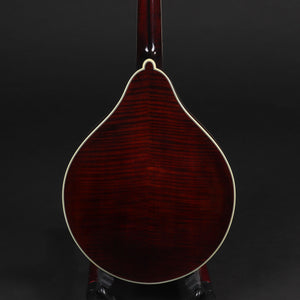 Bourgeois M5A-BT A-Style Mandolin Black Top - M2310008