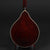Bourgeois M5A-BT A-Style Mandolin Black Top - M2310008