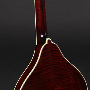 Bourgeois M5A-BT A-Style Mandolin Black Top - M2310008