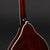Bourgeois M5A-BT A-Style Mandolin Black Top - M2310008