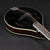 Bourgeois M5A-BT A-Style Mandolin Black Top - M2310008