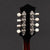 Bourgeois M5A-BT A-Style Mandolin Black Top - M2310008