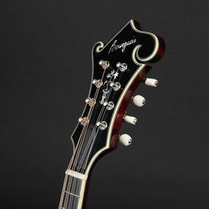 Bourgeois M5-F Black-Top F-Style Mandolin