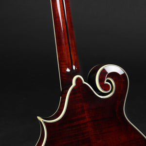 Bourgeois M5-F Black-Top F-Style Mandolin