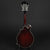 Bourgeois M5-F Black-Top F-Style Mandolin