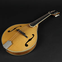Load image into Gallery viewer, Bourgeois M5A A-Style Mandolin - M0823108