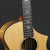 2007 Breedlove Fusion Custom - Sitka Spruce/Myrtlewood #9828 (Pre-owned)