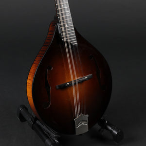 Collings MT Gloss Top Mandolin - Sunburst (Pre-owned)