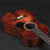 Eastman E1P "The Bluesmaster" Limited Edition Parlour #3325