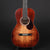 Eastman E1P "The Bluesmaster" Limited Edition Parlour #2997