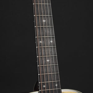 Eastman E20P Parlour Adirondack/Rosewood #0795