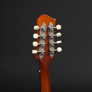 Eastman ER-M El Rey Electric Mandolin - Goldburst