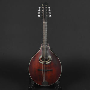 Eastman MD304 A-Style Mandolin #2173