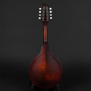 Eastman MD304 A-Style Mandolin #2173