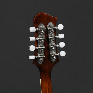 Eastman MD404-BK A-Style Mandolin Black #1079