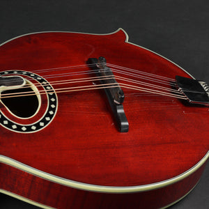Eastman MD814 Oval Hole F-Style Mandolin - Classic #0818