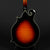 Eastman MD815 F-Style Mandolin - Sunburst (B-Stock) #2491