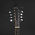Eastman MDA315 F-style Mandola (Pre-owned)