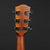 Eastman PCH3-GACE Electro-Acoustic Amberburst