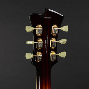 FGN Masterfield MFA-FP Archtop Guitar - Jazz Burst