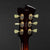 FGN Masterfield MFA-FP Archtop Guitar - Jazz Burst