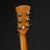 Faith FVHG3 HiGloss Venus - Cutaway Electro