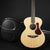 Fenech VT Camphor Laurel Auditorium