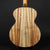 Fenech VT Camphor Laurel Auditorium