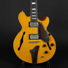 Load image into Gallery viewer, Fret-King FKV3-JE John Etheridge Elise (Pre-owned)
