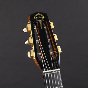 Gitane DG-455 Thinline Gypsy Jazz Guitar w/case (Pre-owned)